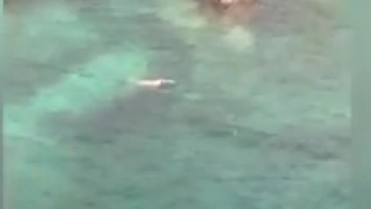 Ciudadano alemán descubierto nadando en Charco del Palo 2