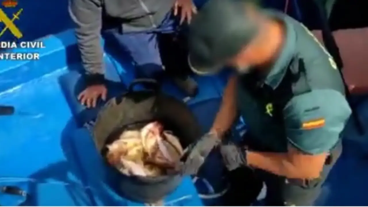 La Guardia Civil interviniendo el pescado capturado