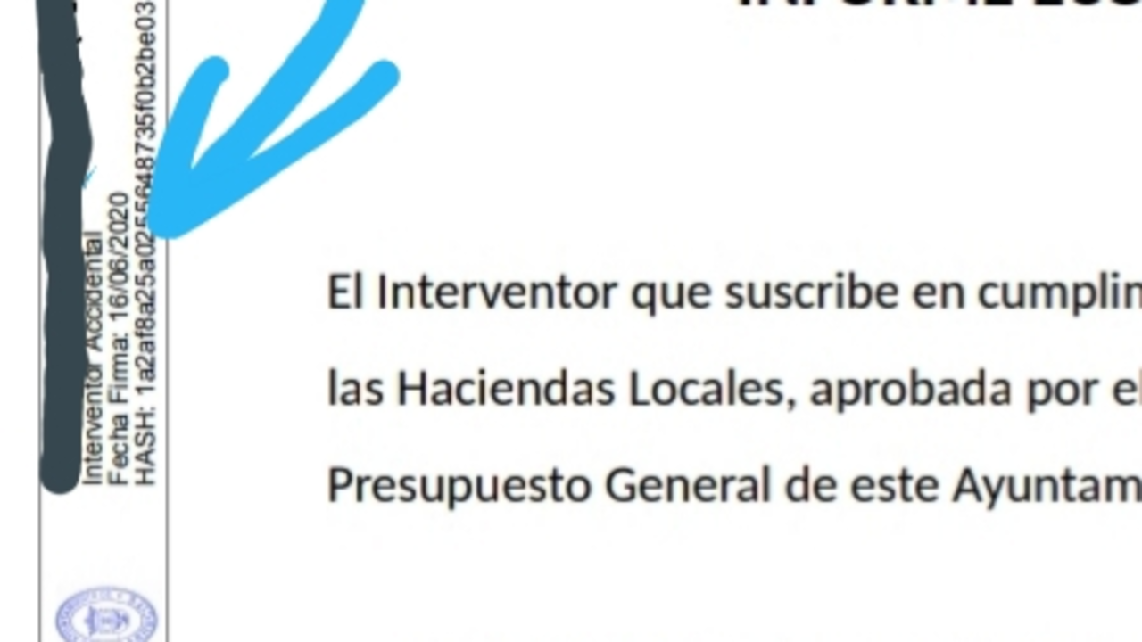 Informe