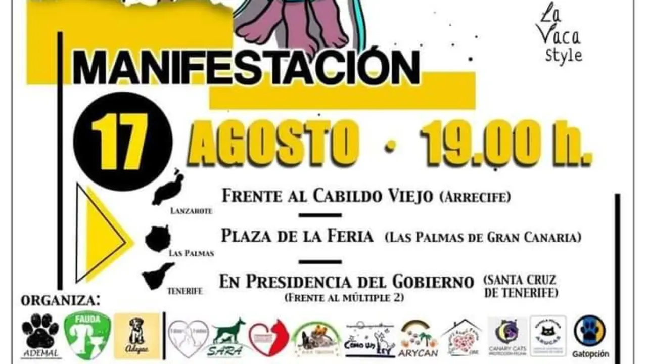 Manifestación por Timple