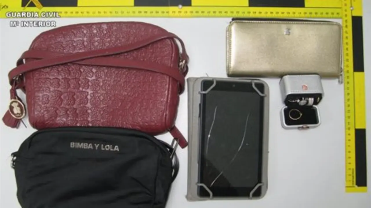 Objetos recuperados tras el robo en Tahiche