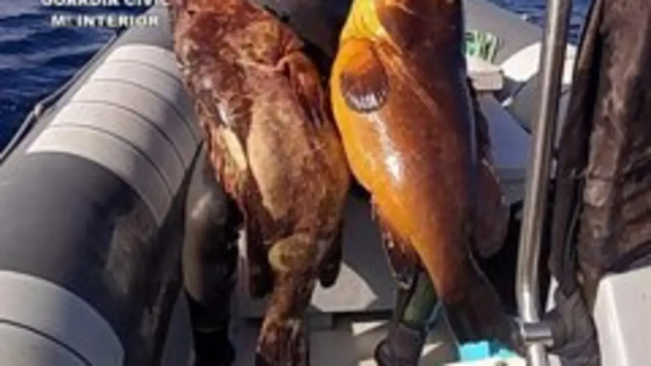 Pesca furtiva