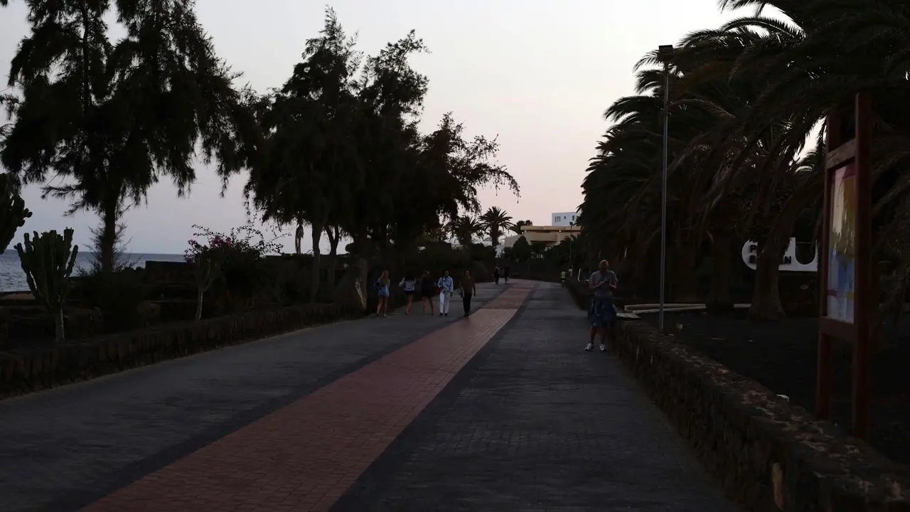 AVENIDA COCEDEROS SIN LUZ 1