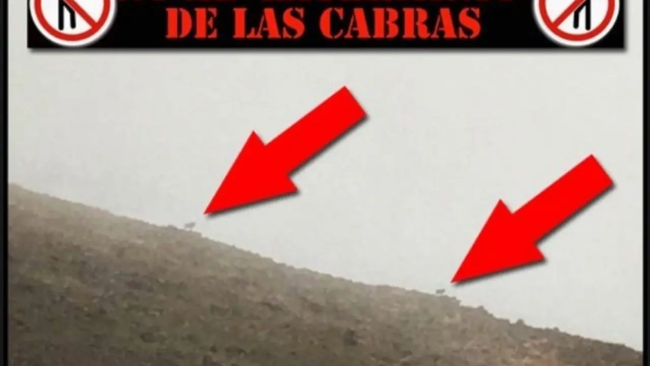 No al exterminio de las cabras