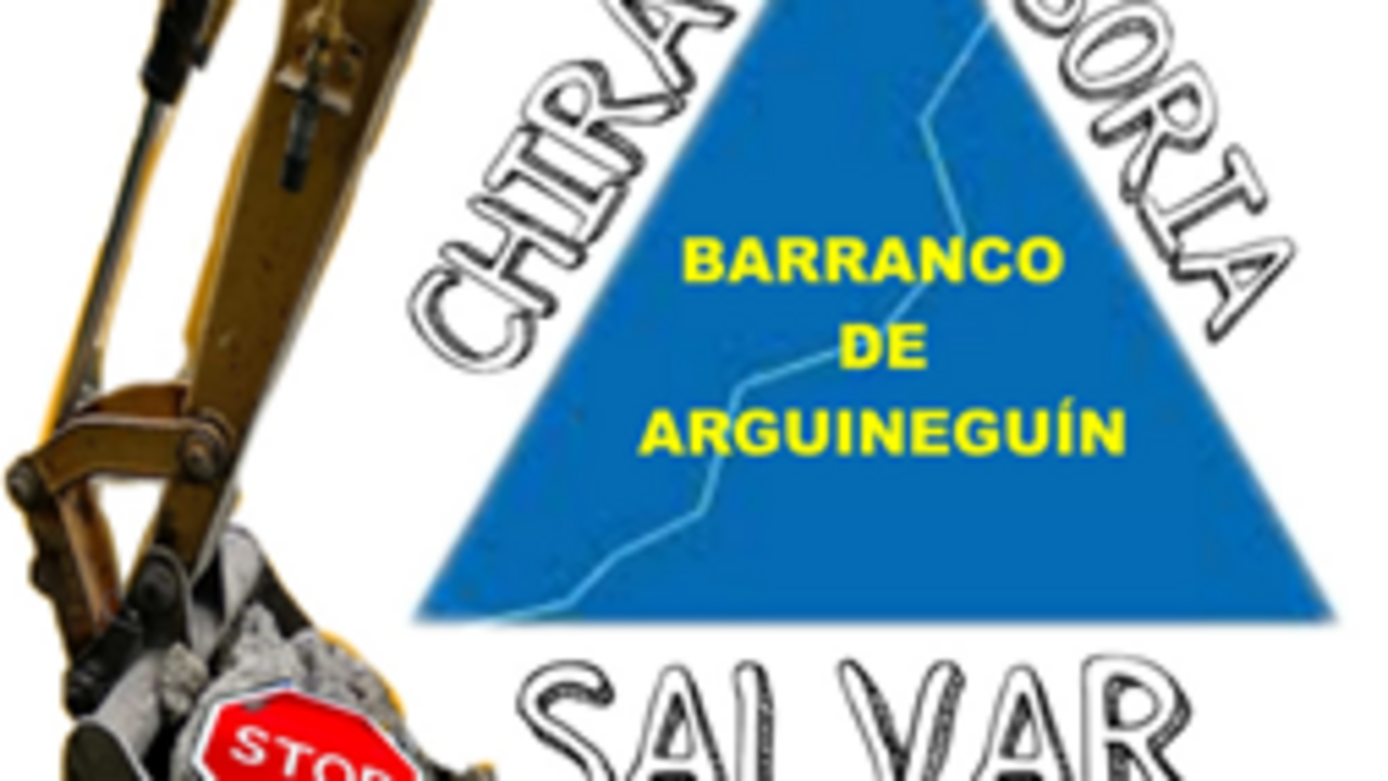 Salvar Chira Soria