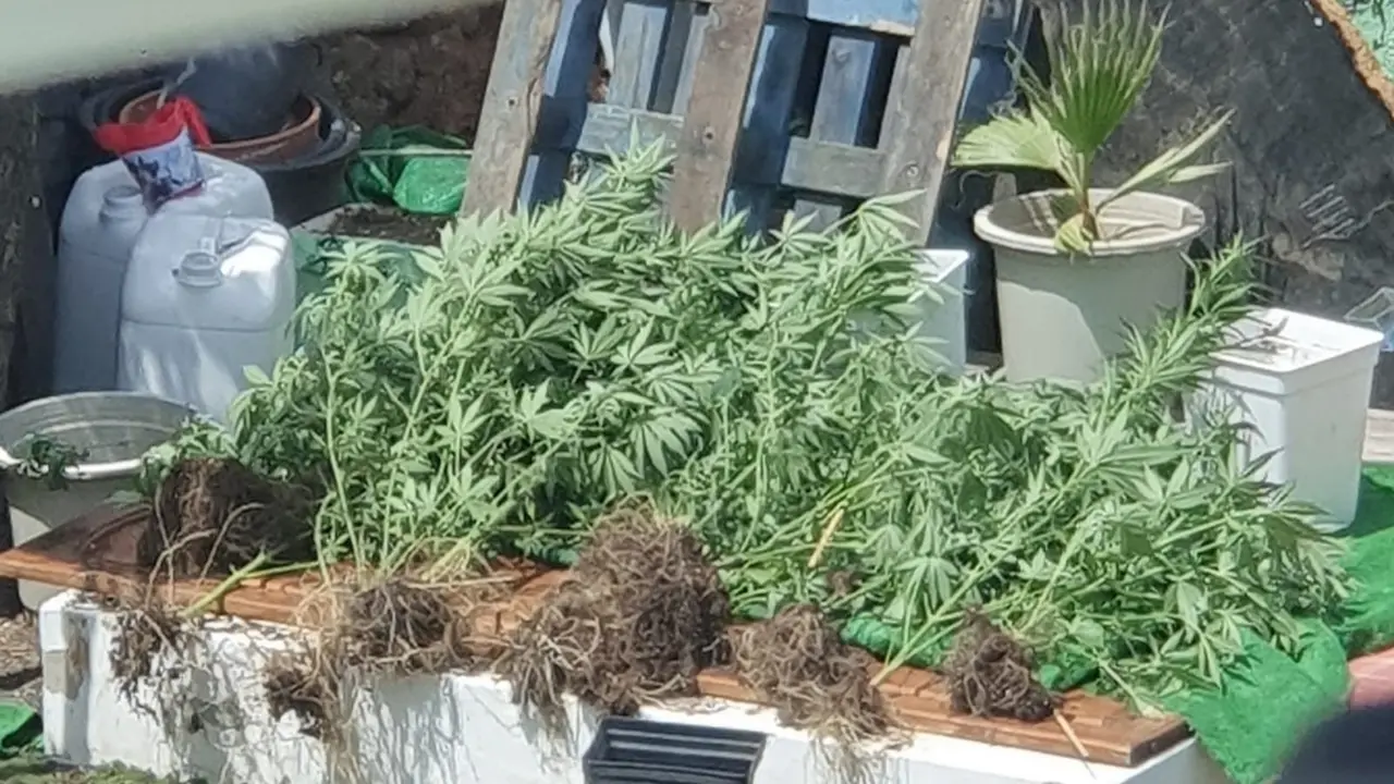 Operación antidroga en Tinajo 2