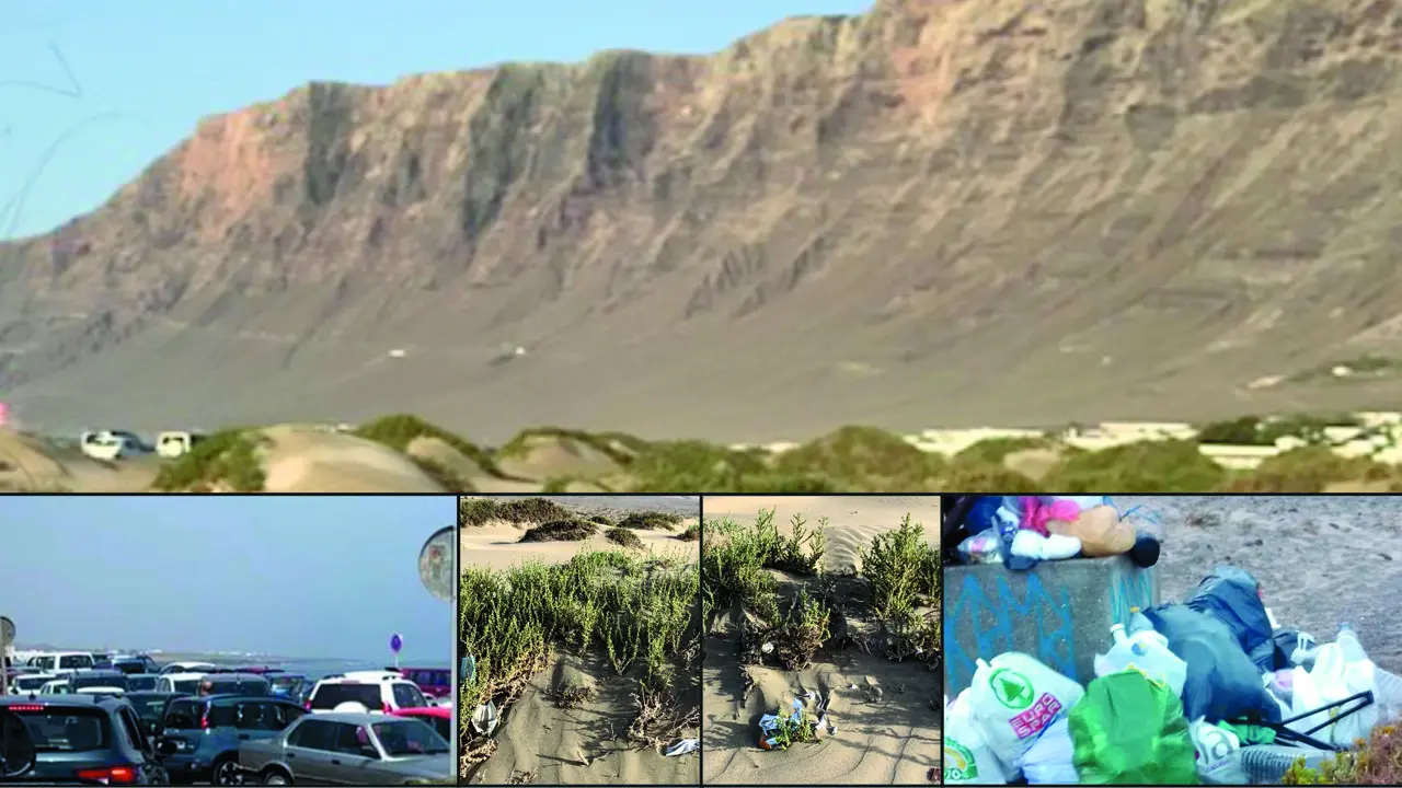 FOTO FAMARA PARA ECOLOGISTAS EN ACCIO LANZAROTE