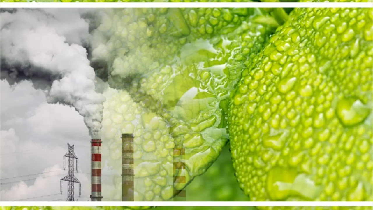 Cartel encuesta emisiones 40 menos CO2