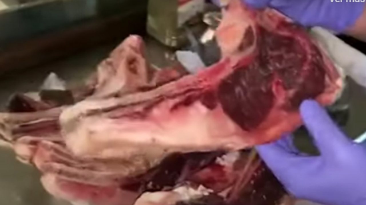 Carne incautada
