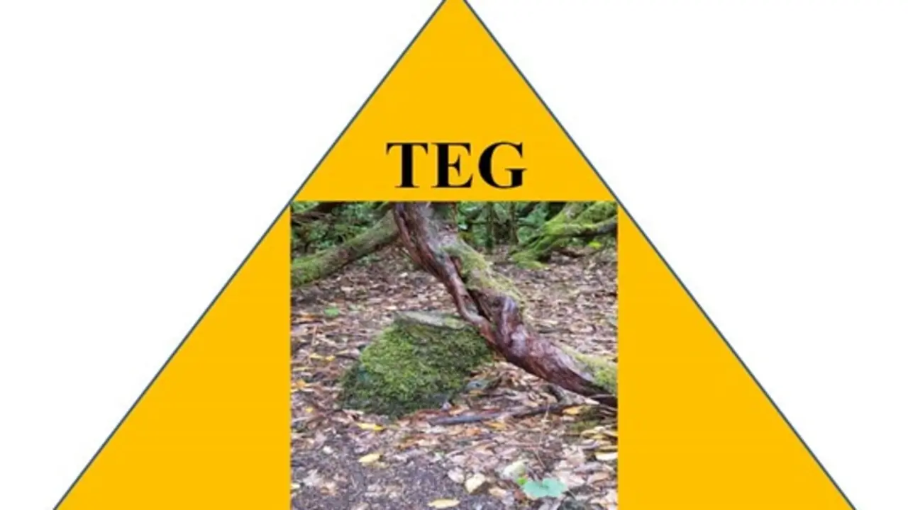 TEG