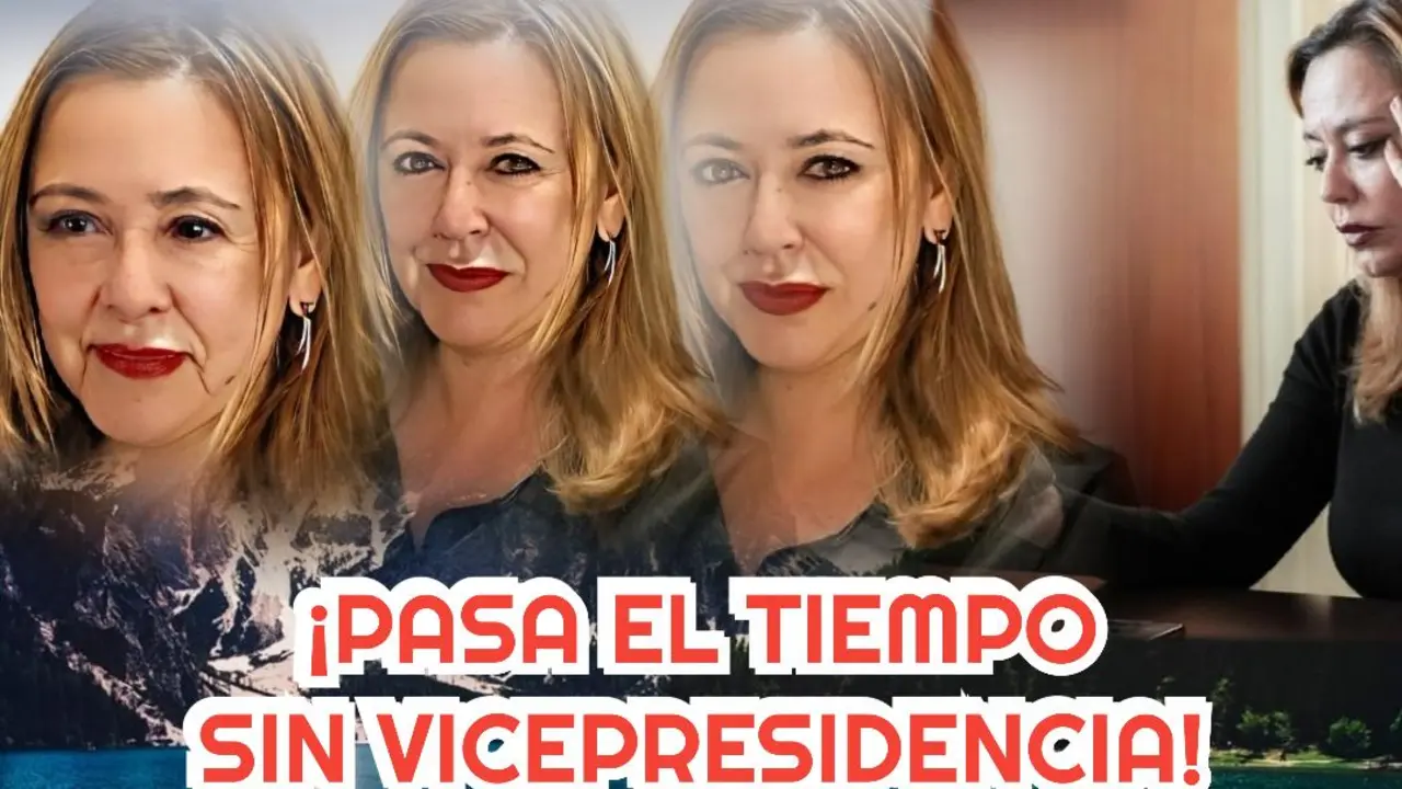 Sin vicepresidencia