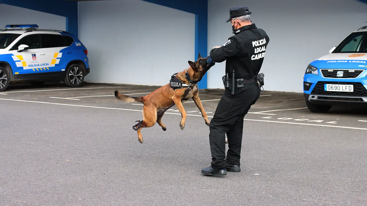 Presentaci&oacute;n de Tequila, perro de la Polic&iacute;a de T&iacute;as