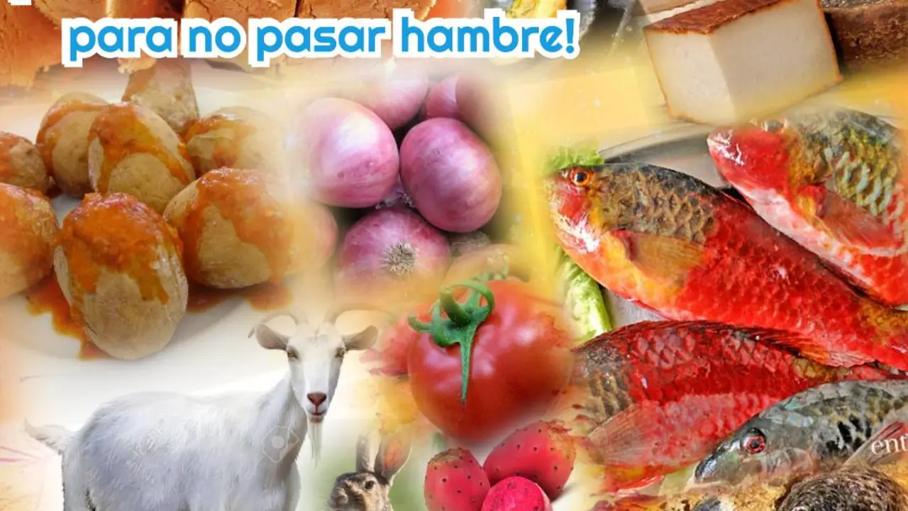 El sustento de los canarios