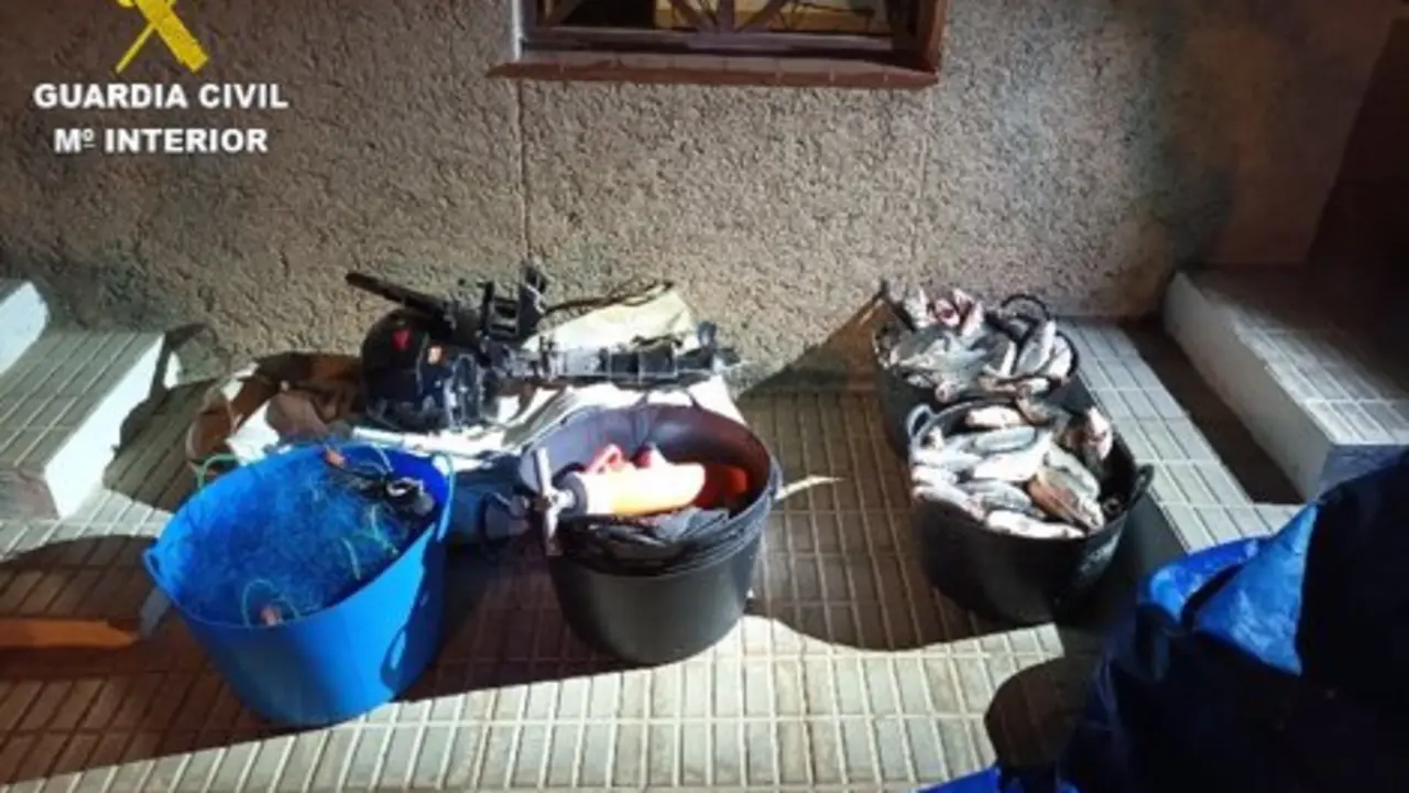 90 kilos de lubinas intervenidas en Playa Quemada