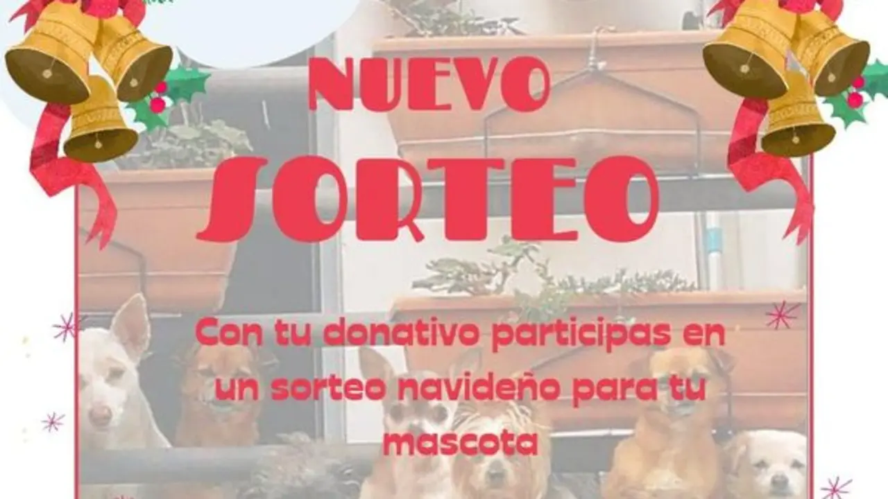 Sorteo ben&eacute;fico las Marujitas del balc&oacute;n