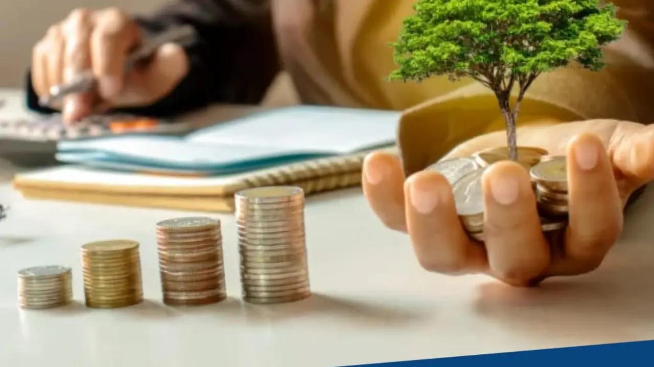 Programa económico del PNC