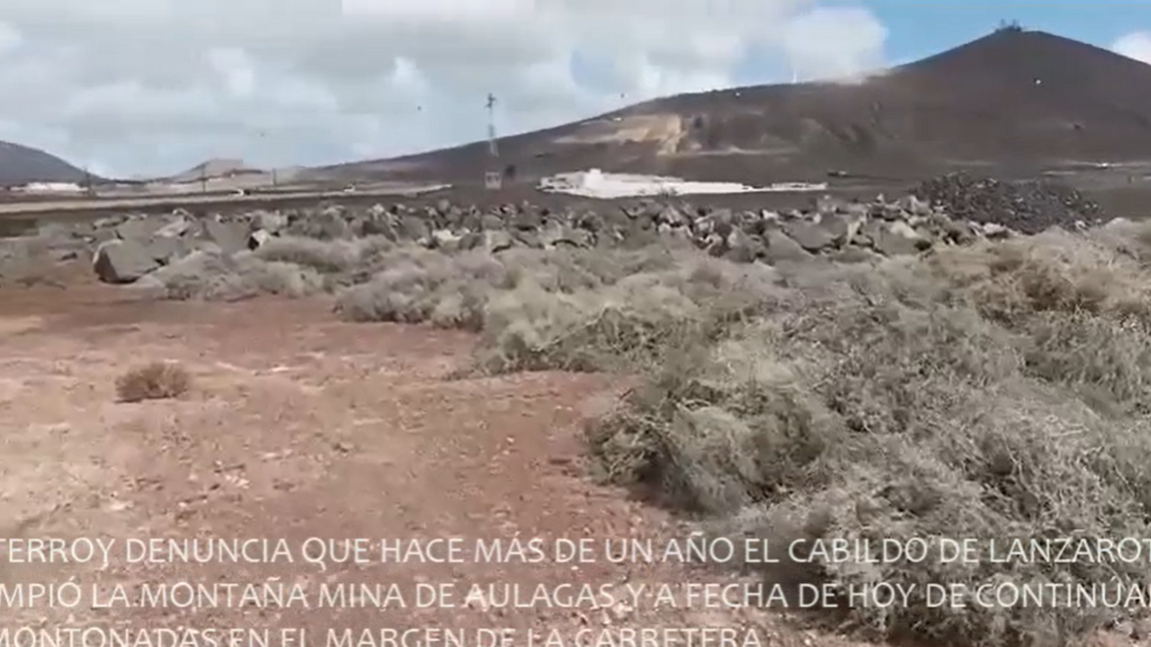 Aulagas amontonadas junto a la carretera 2