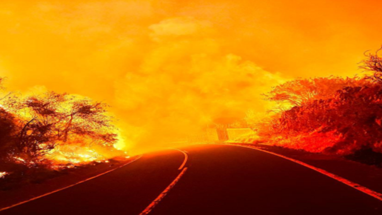 Incendios forestales en Tenerife