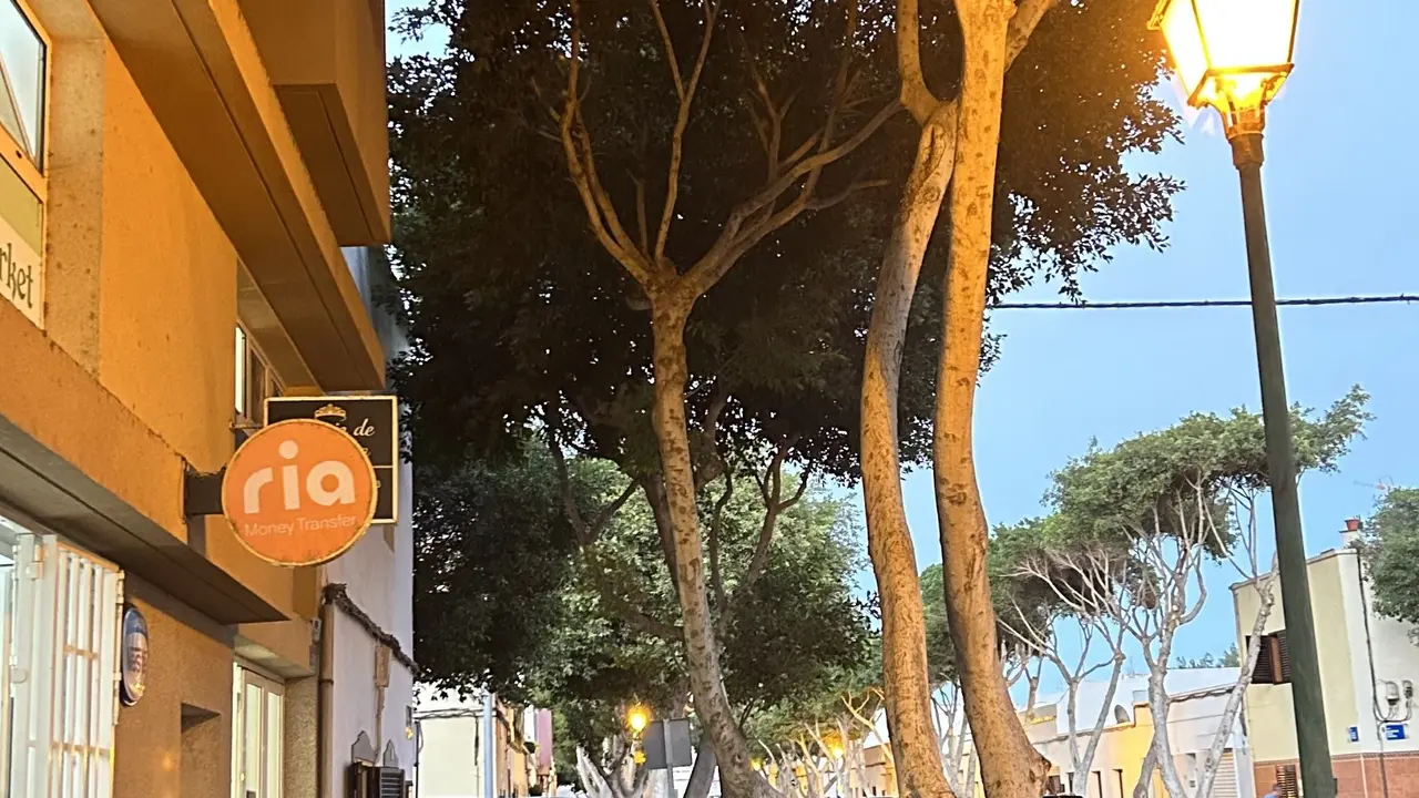 Es necesario podar los árboles de Titerroy