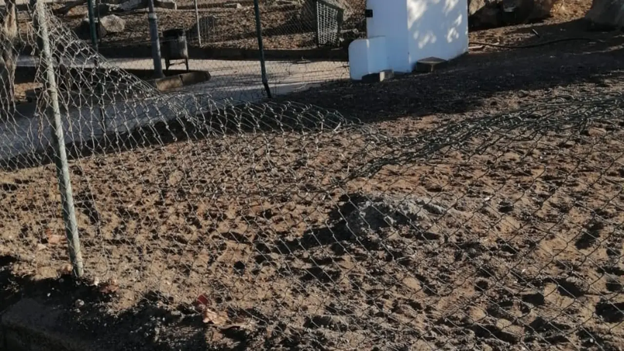 Vandalismo en el recinto de los perros