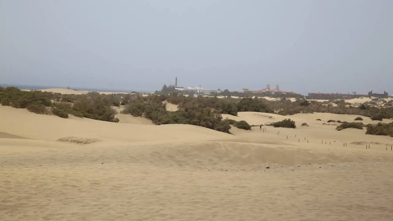Dunas de Maspalomas 2