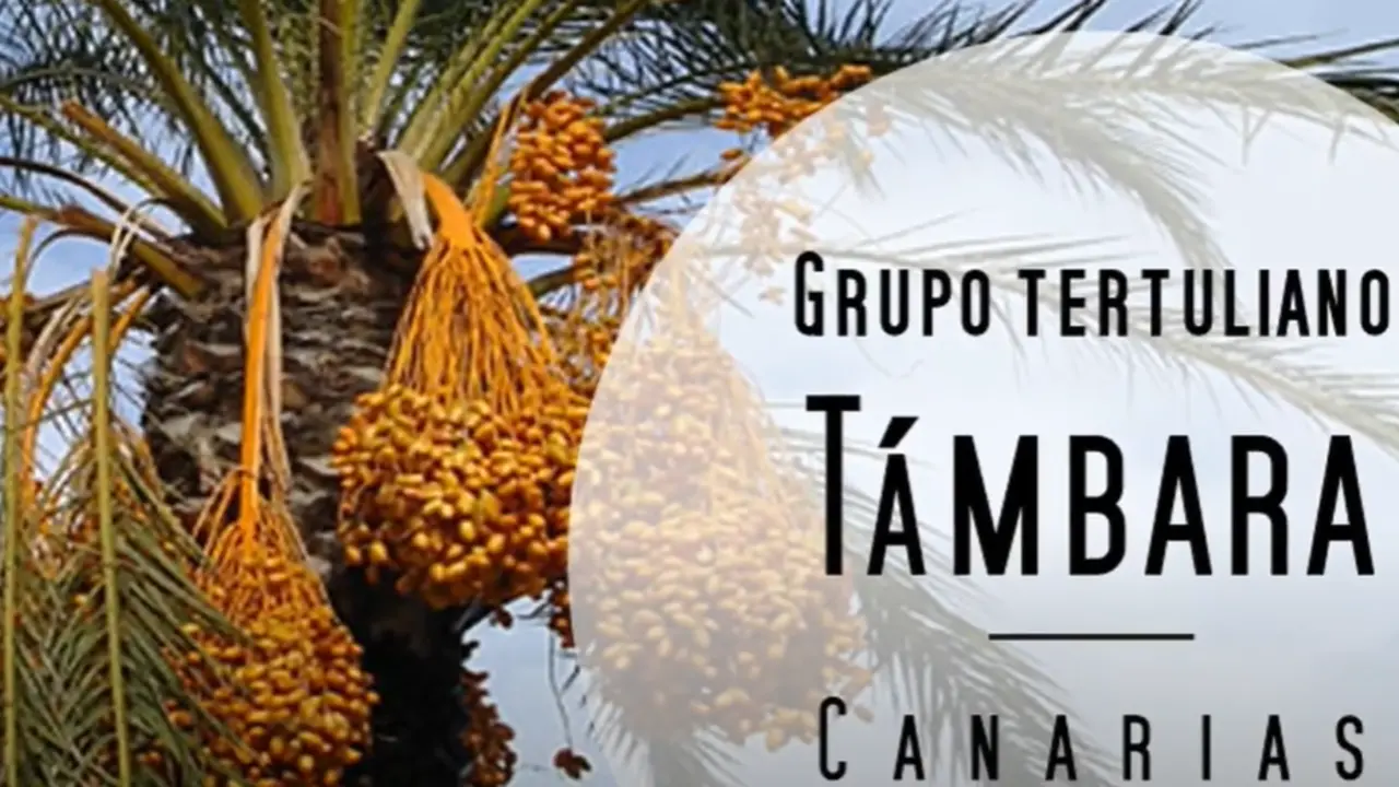 GRUPO TERTULIANO T&Aacute;MBARA