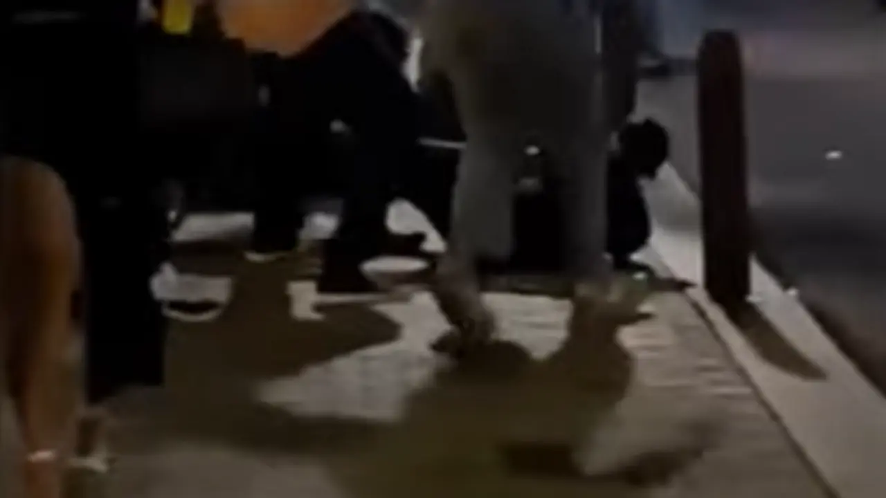 Pelea multitudinaria