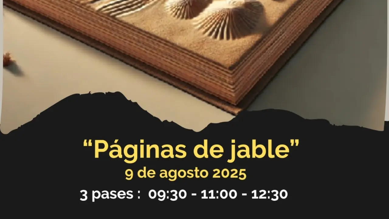 paginas