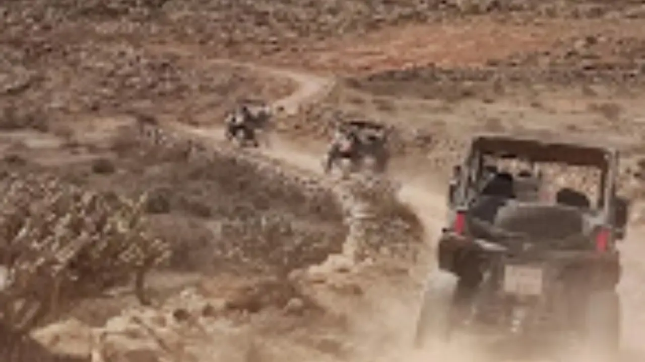 Buggies y quads