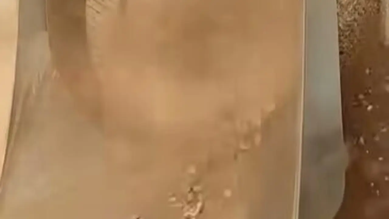 Cribado mec&aacute;nico de material arqueol&oacute;gico en Zonzamas 2