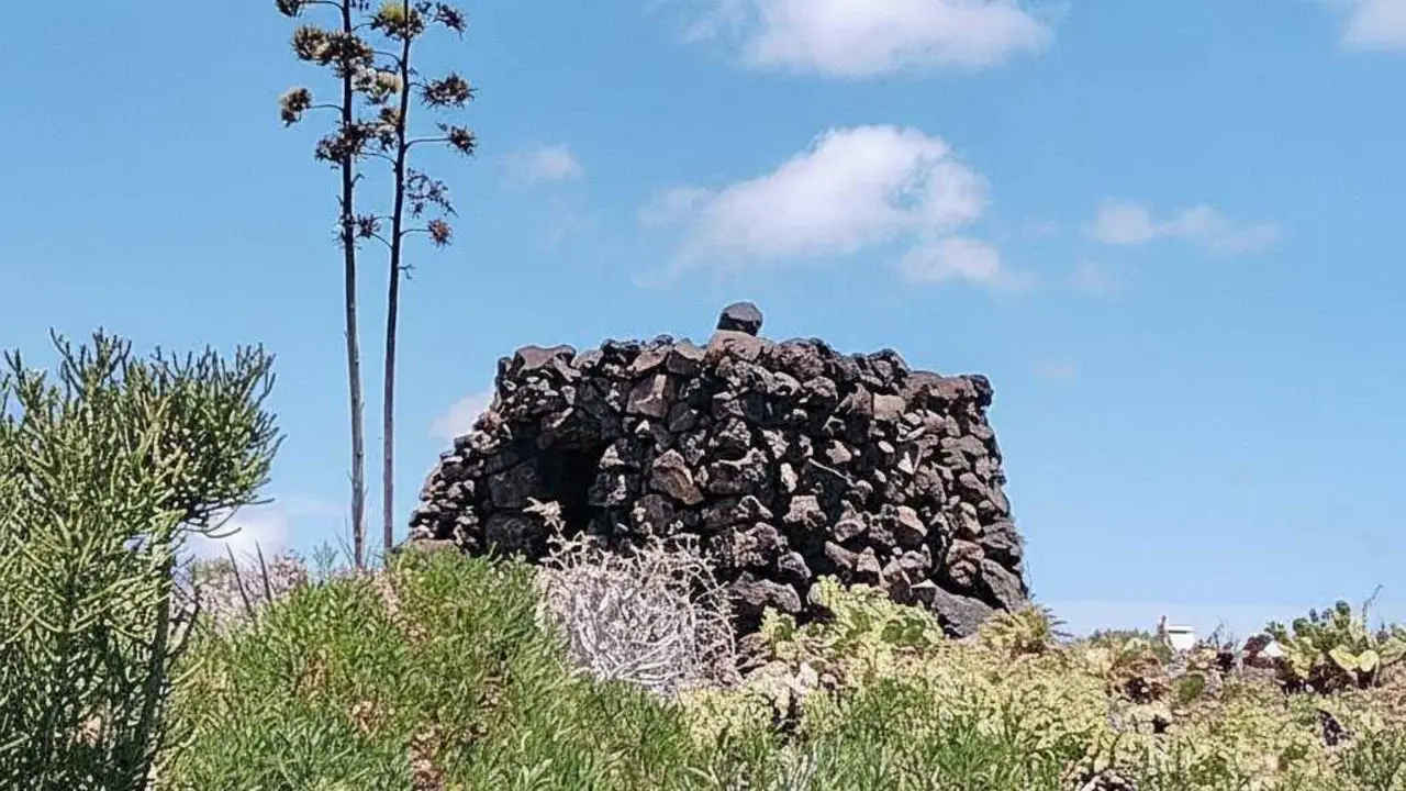 Taro Atalaya