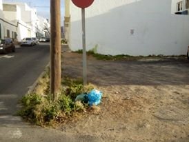 Basura en un solar de la calle Escardillo 3