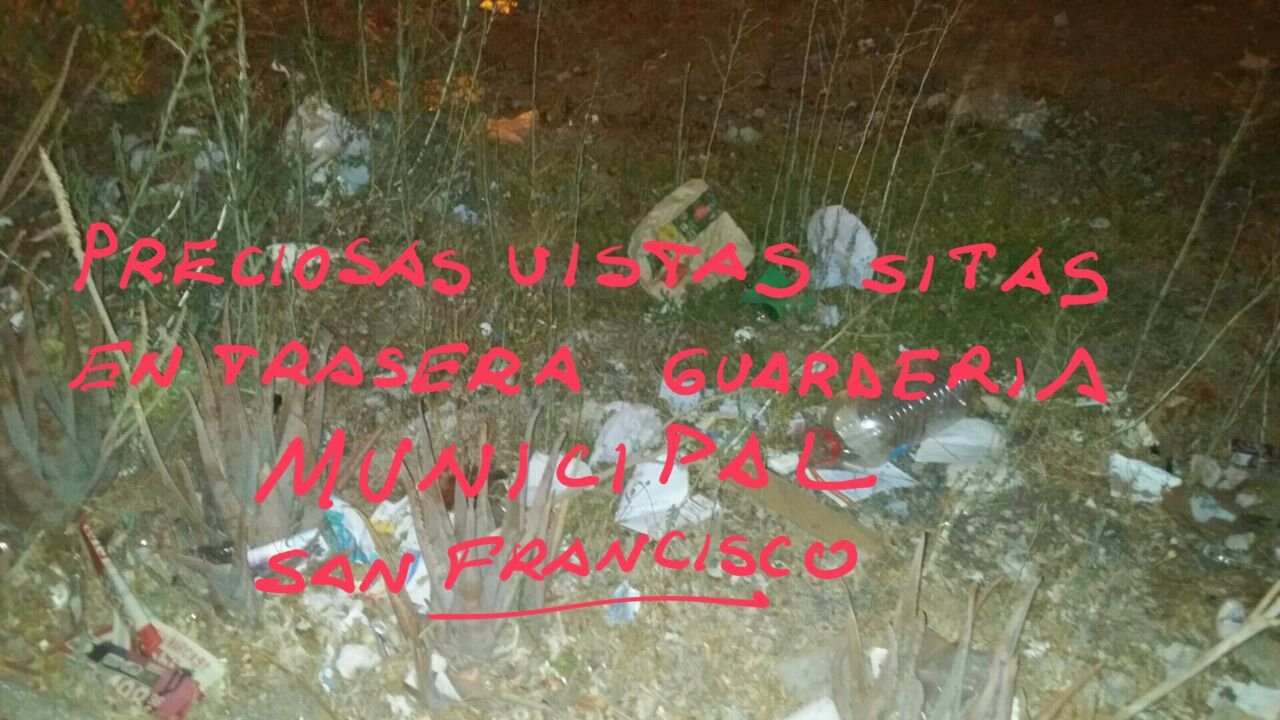 IMG-20150702-WA0004