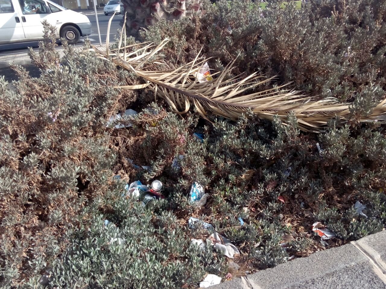 La basura se acumula en el parque 2