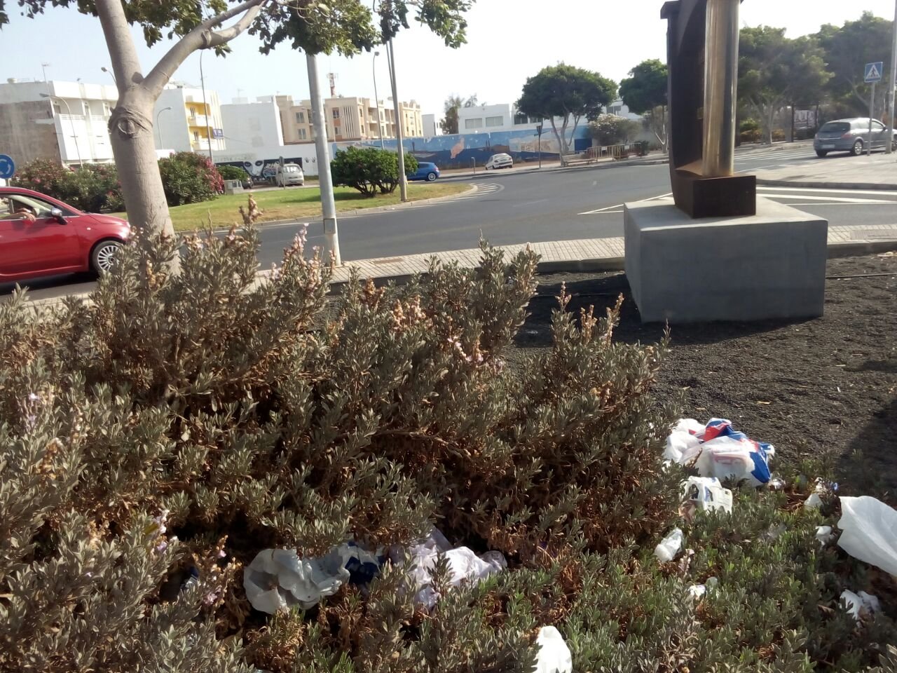 La basura se acumula en el parque