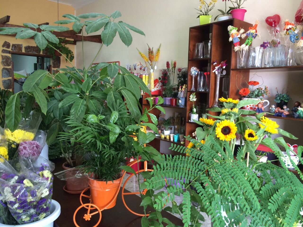 Floristería Laurisilva 3