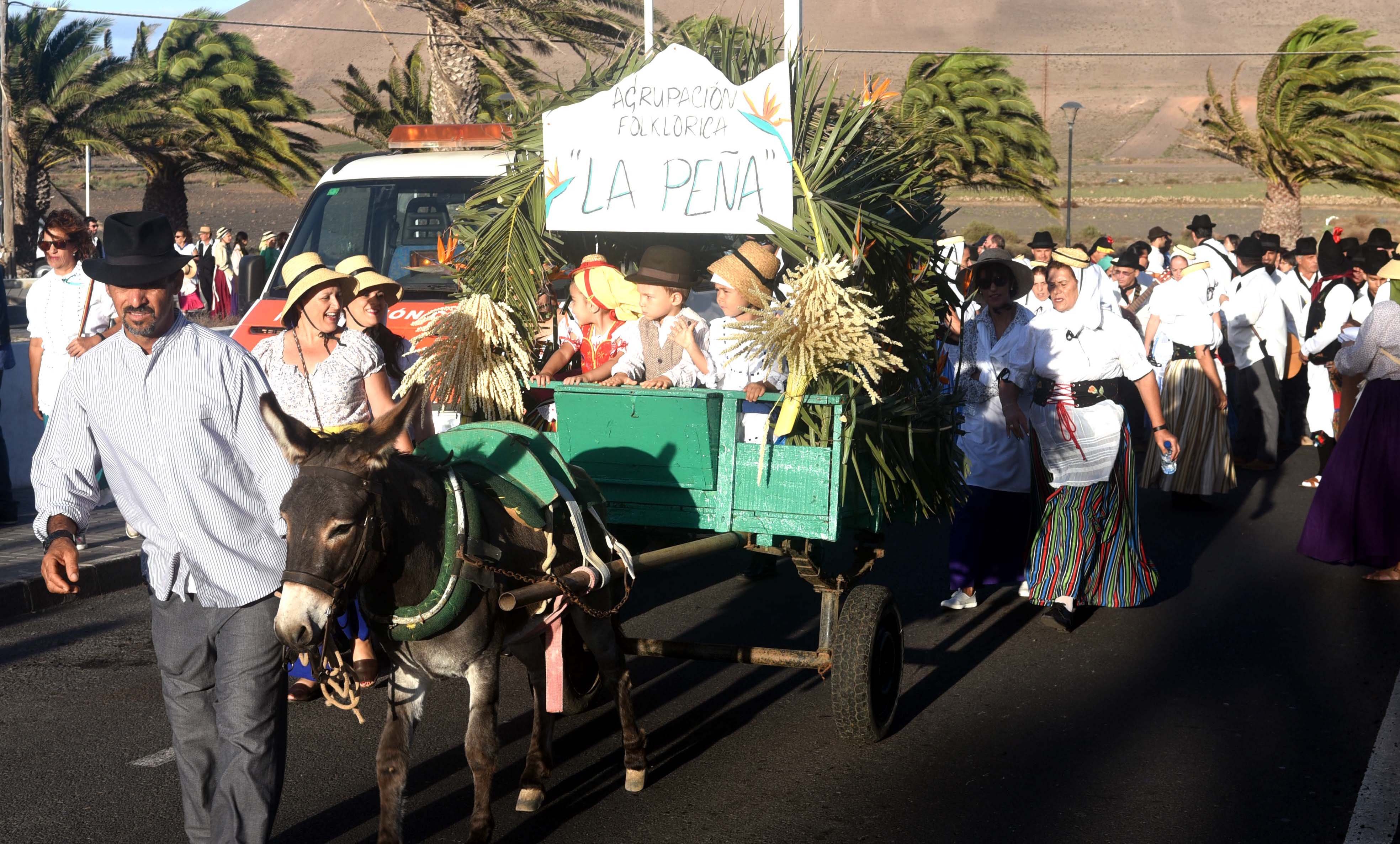 ROMERIA 29