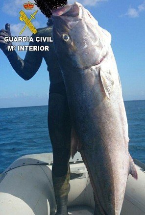 Pesca furtiva
