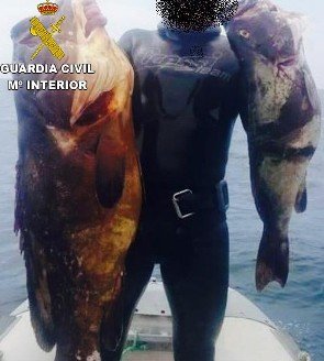 Pesca furtiva 2