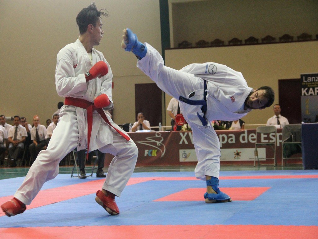 COPA DE ESPAÑA DE KARATE (2)