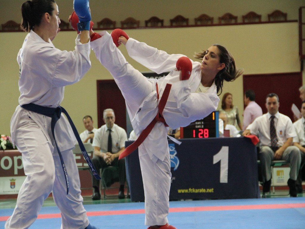 COPA DE ESPAÑA DE KARATE (6)