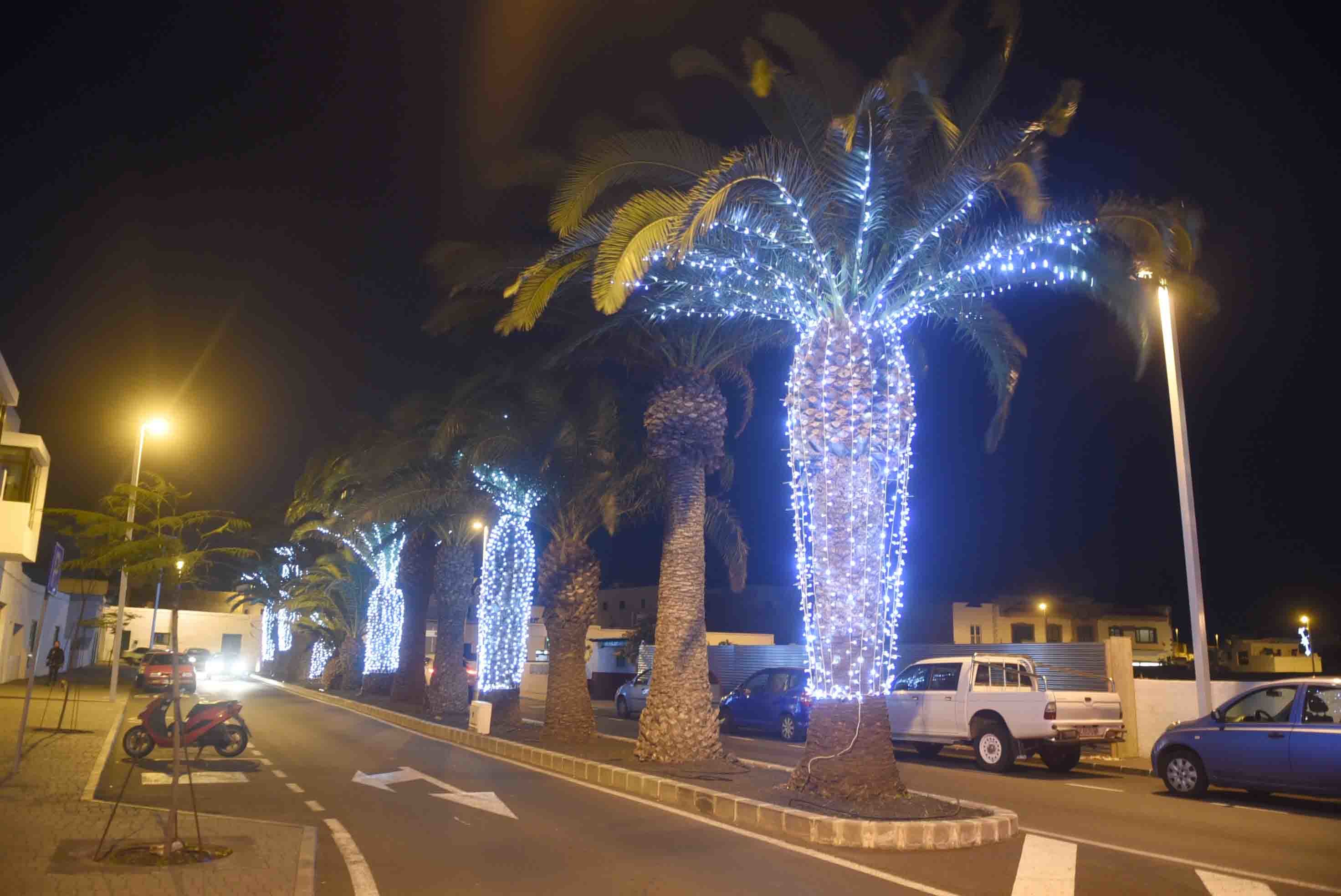 ALUMBRADO NAVIDAD 6