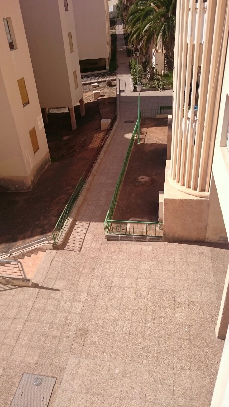 Limpieza en Los Alonso 4