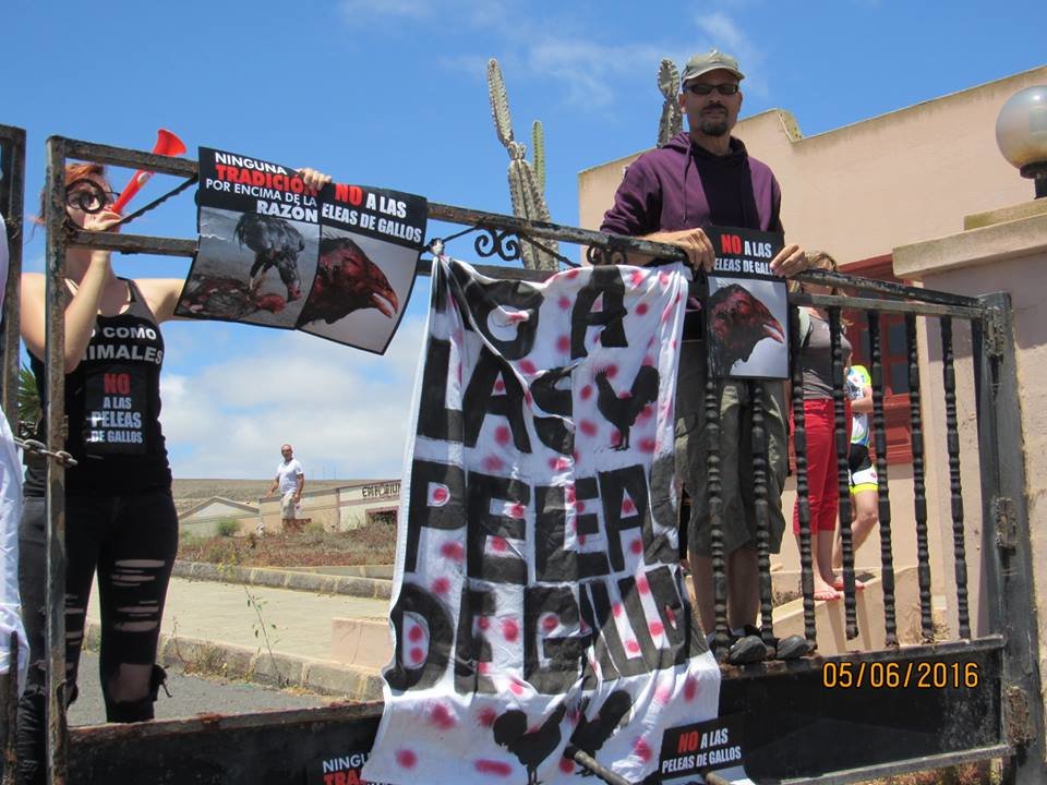 Concentración contra las Peleas de Gallos 3