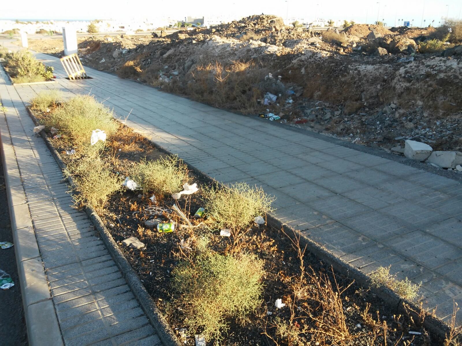 Basura en el camino al Cementerio