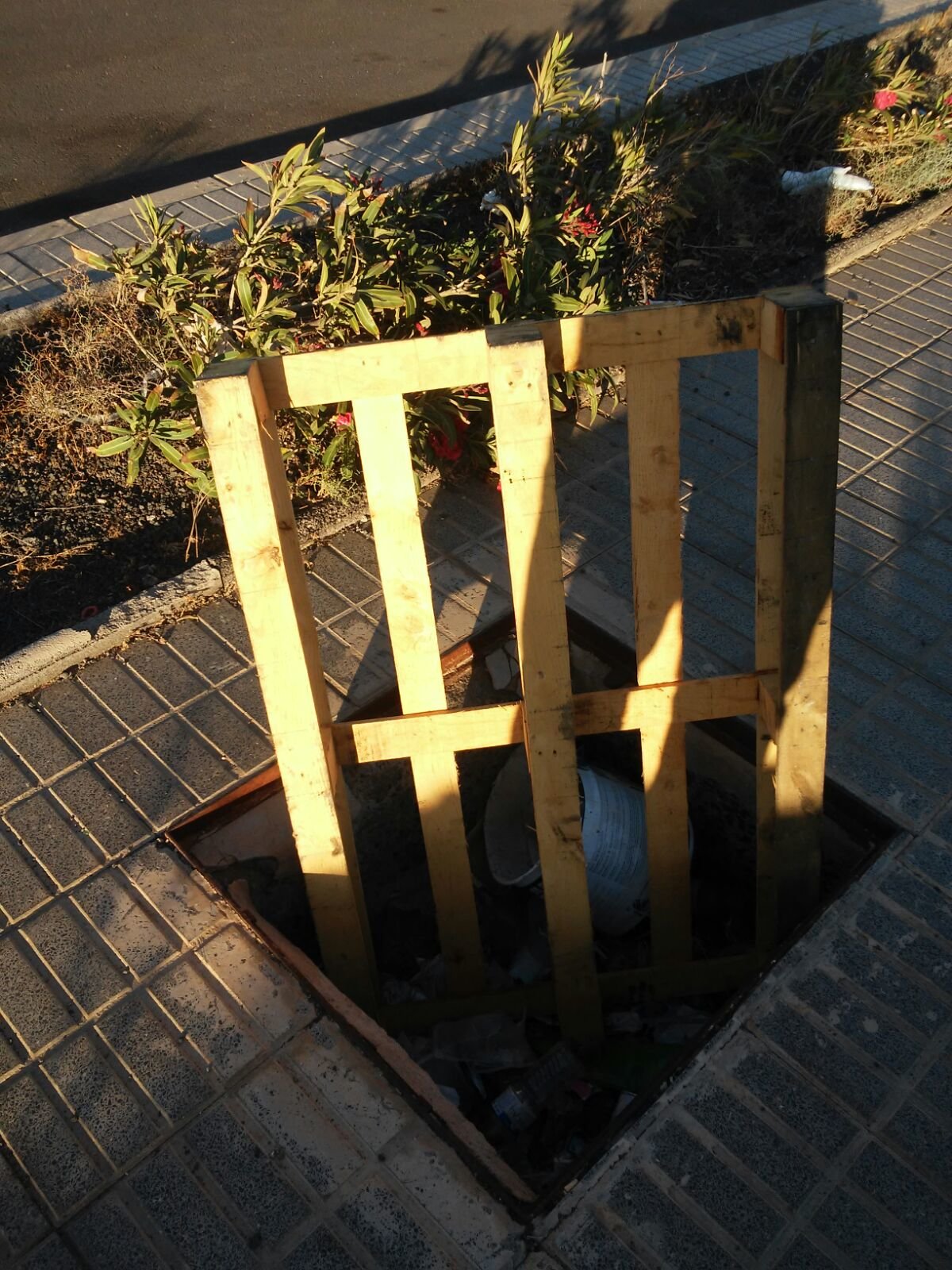 Basura en el camino al Cementerio 4