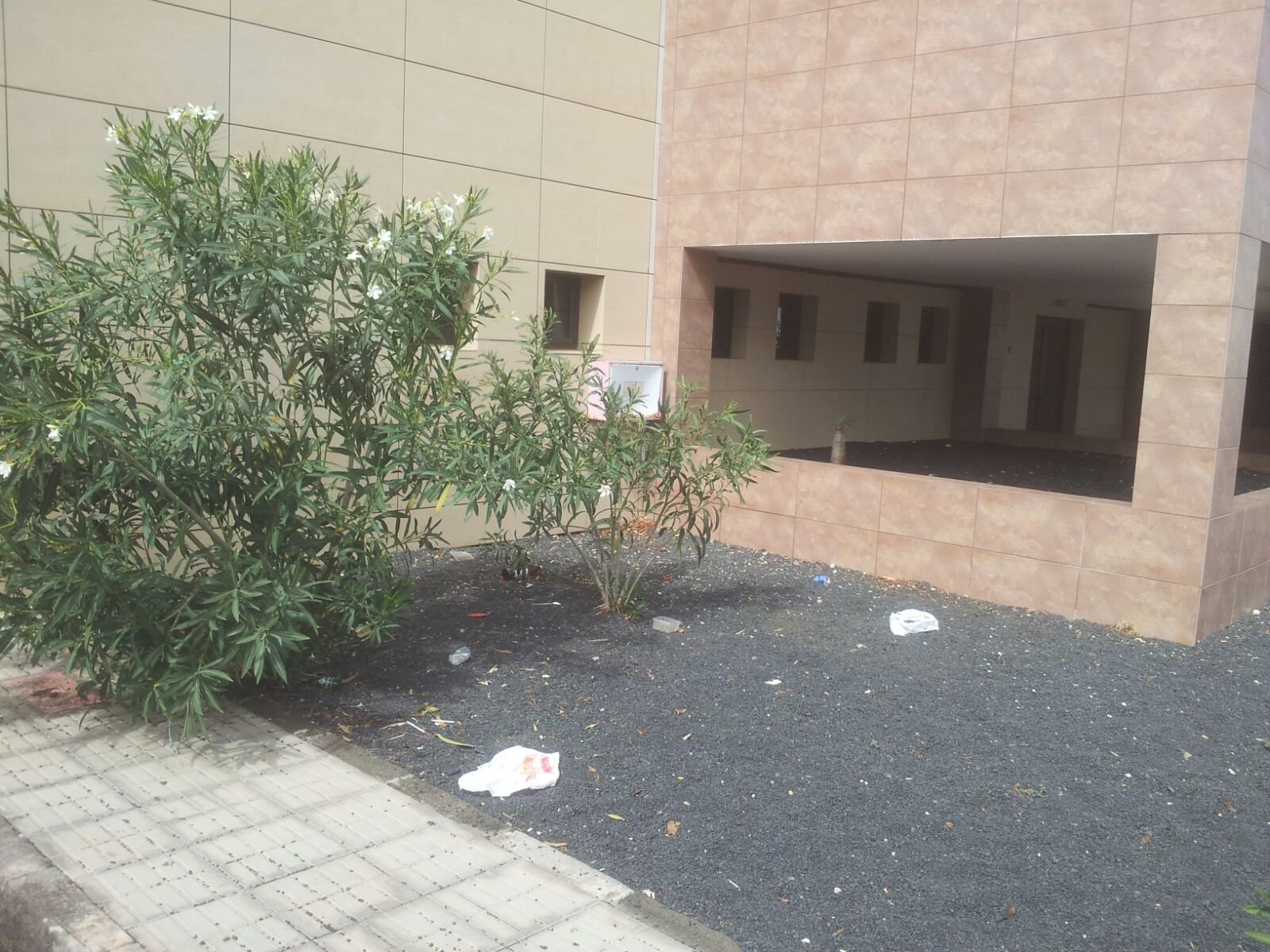 Basura en el Teatro Insular