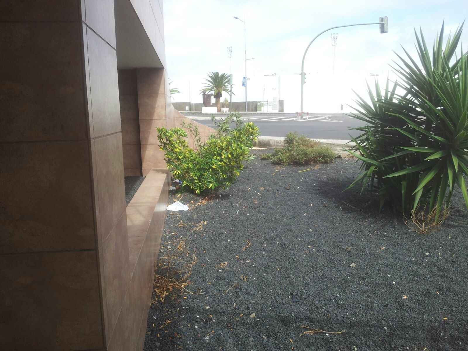 Basura en el Teatro Insular 2