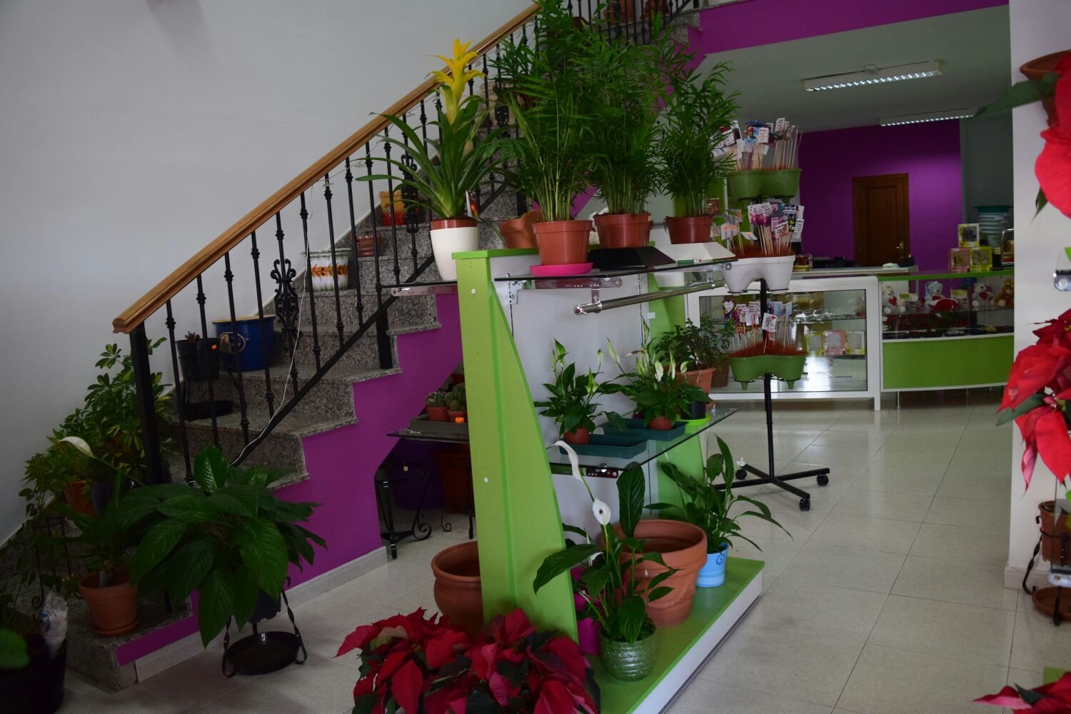 Floristería Aisa Flor 2