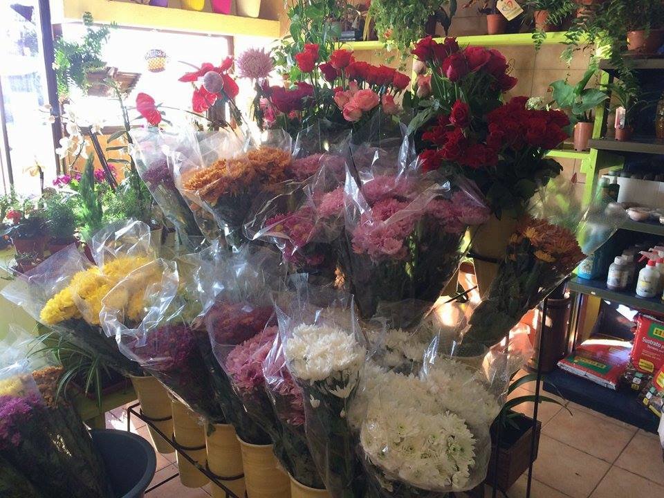 Floristería Marco 2